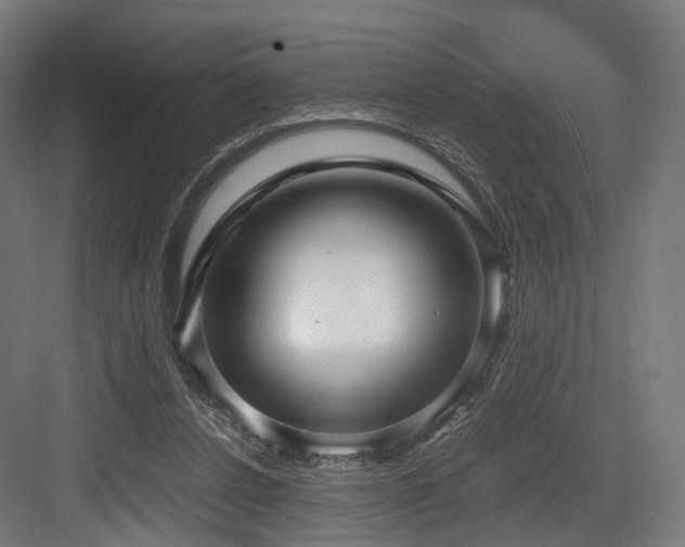 X0000083640256200702121131