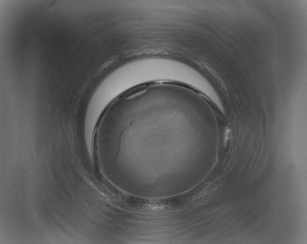 X0000083640260200702121131