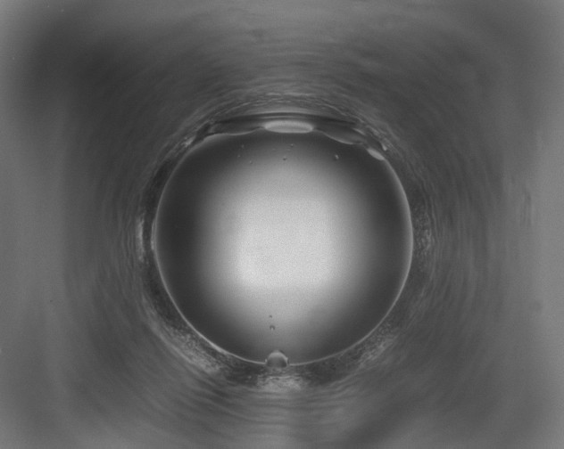 X0000083640262200702121131