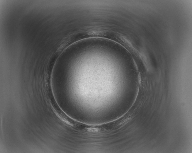 X0000083640265200702121131