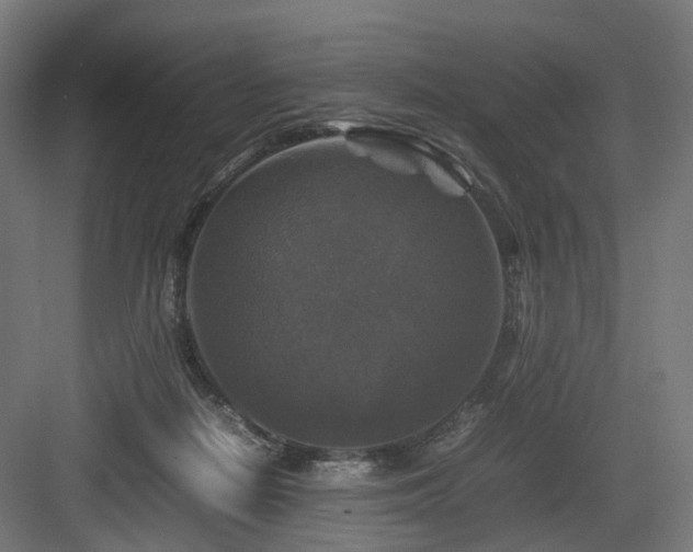 X0000083640266200702121131