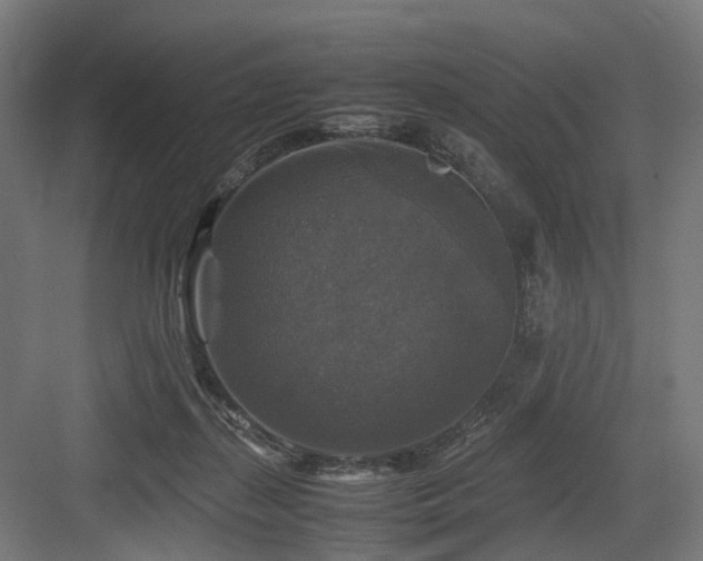 X0000083640267200702121131