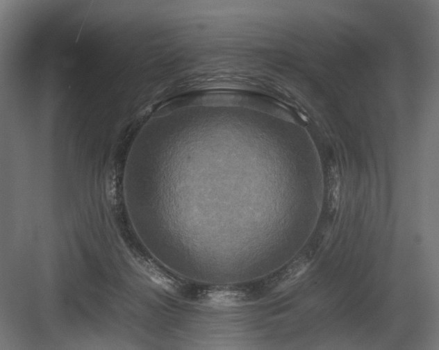 X0000083640268200702121131
