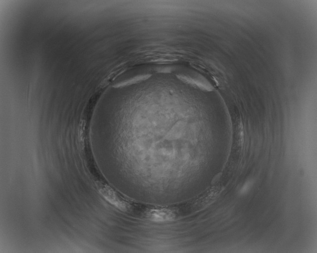 X0000083640275200702121132