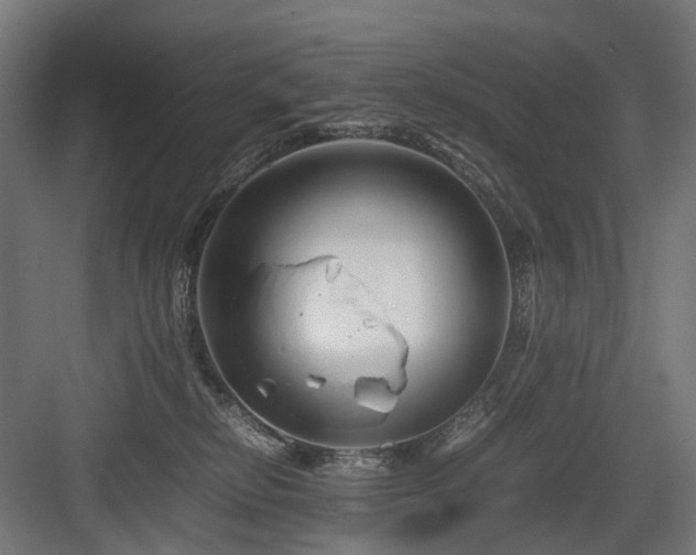 X0000083640278200702121132