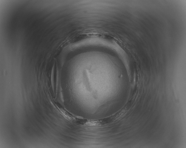 X0000083640280200702121132