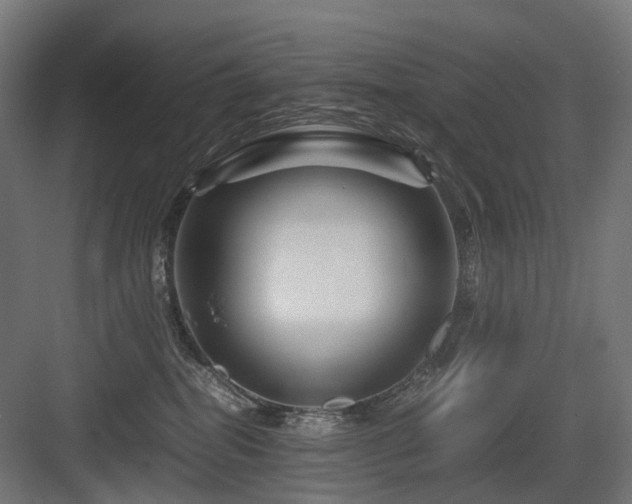 X0000083640282200702121132