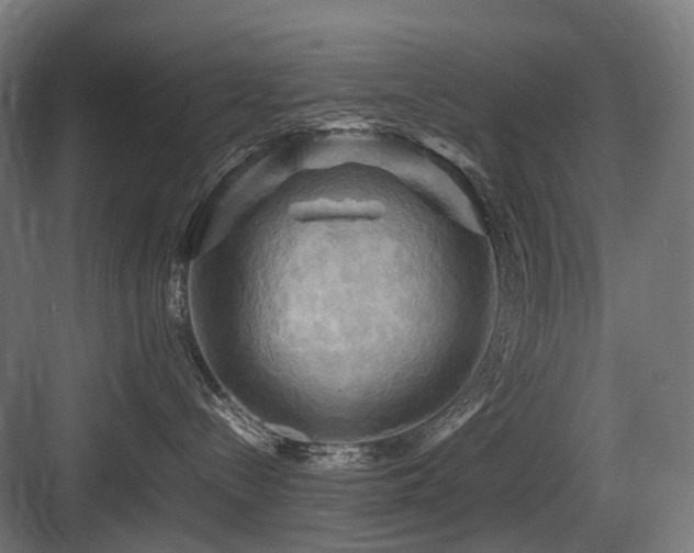 X0000083640288200702121132