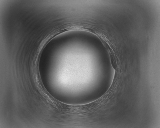 X0000083640289200702121131