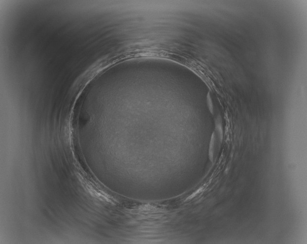 X0000083640290200702121131