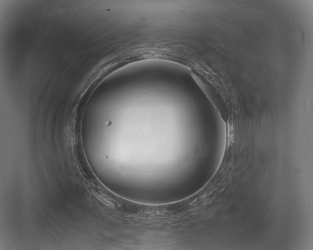 X0000083640291200702121131