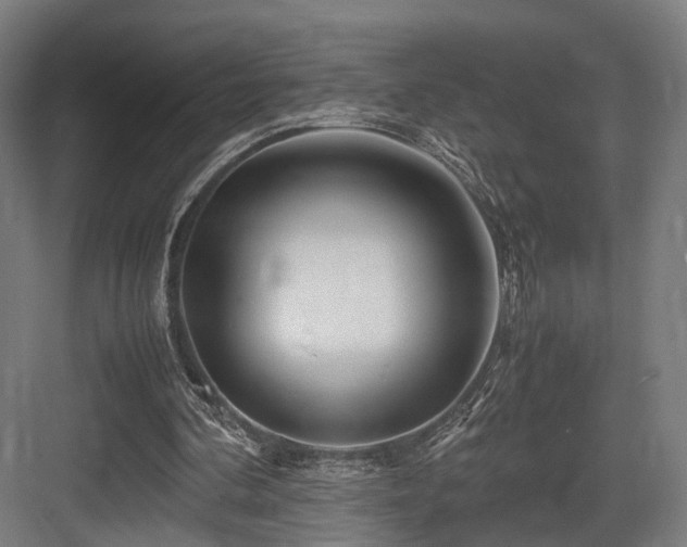 X0000083640292200702121131
