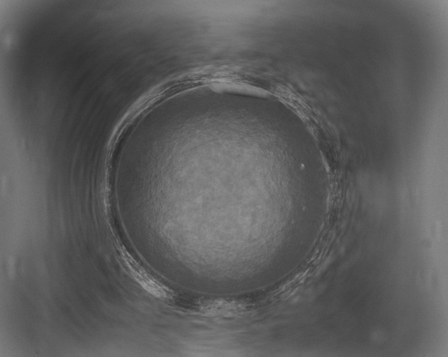 X0000083640293200702121131