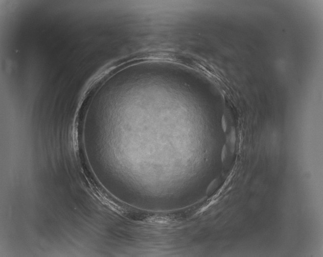 X0000083640294200702121131