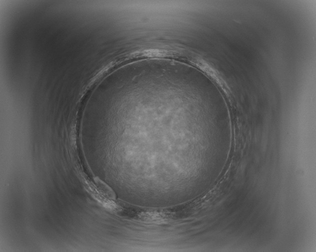 X0000083640297200702121131