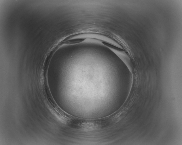X0000083640298200702121131