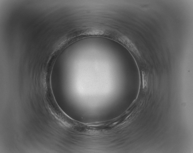 X0000083640300200702121131