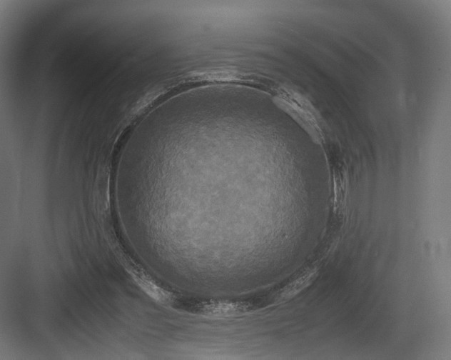 X0000083640301200702121131