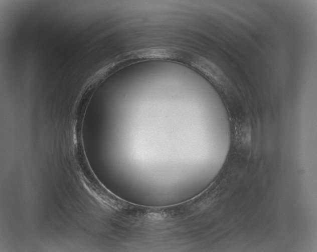 X0000083640302200702121131
