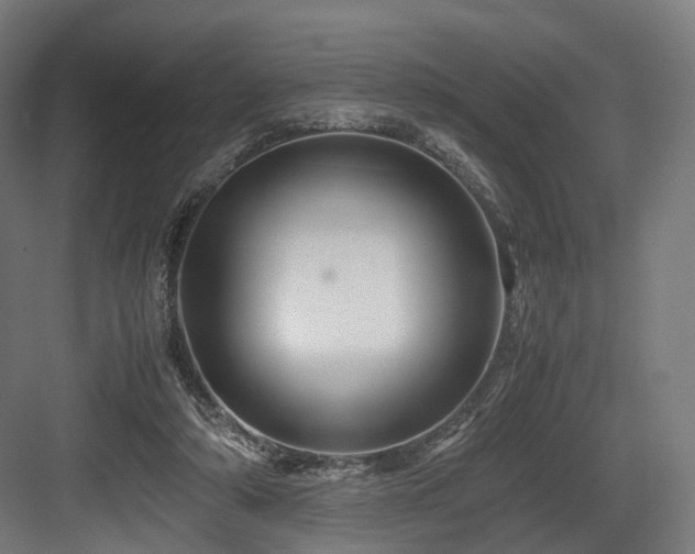 X0000083640306200702121131