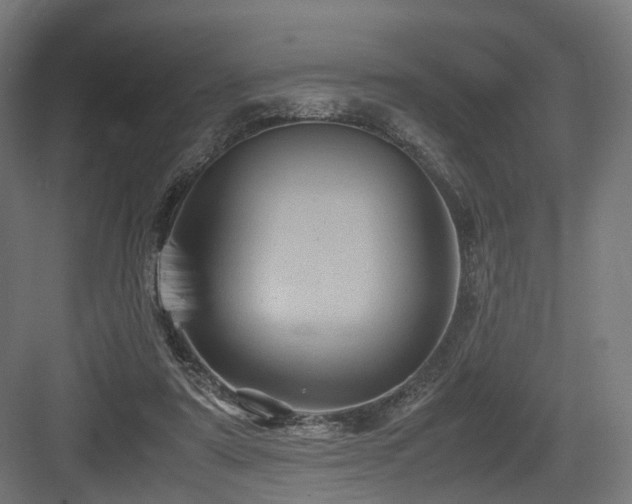 X0000083640307200702121131