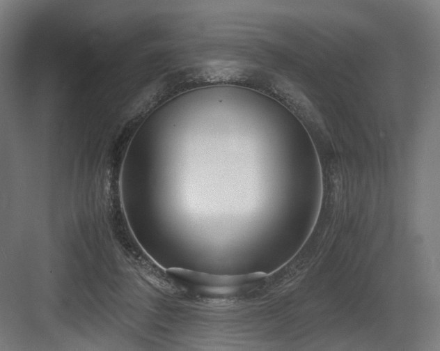 X0000083640308200702121131