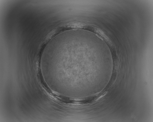 X0000083640309200702121131