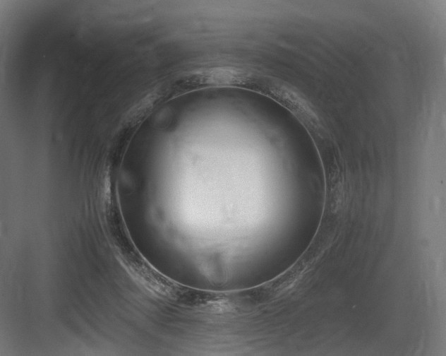 X0000083640310200702121131