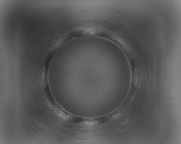X0000083640314200702121131