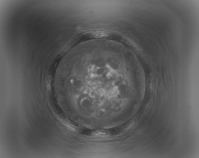 X0000083640315200702121131