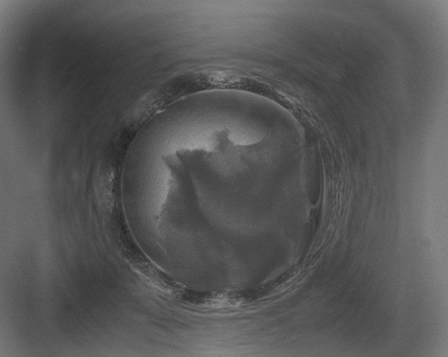 X0000083640319200702121131