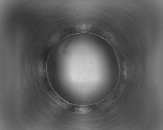 X0000083640324200702121130