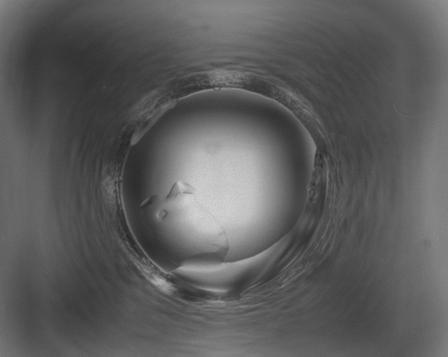 X0000083640329200702121130