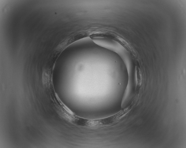 X0000083640333200702121130