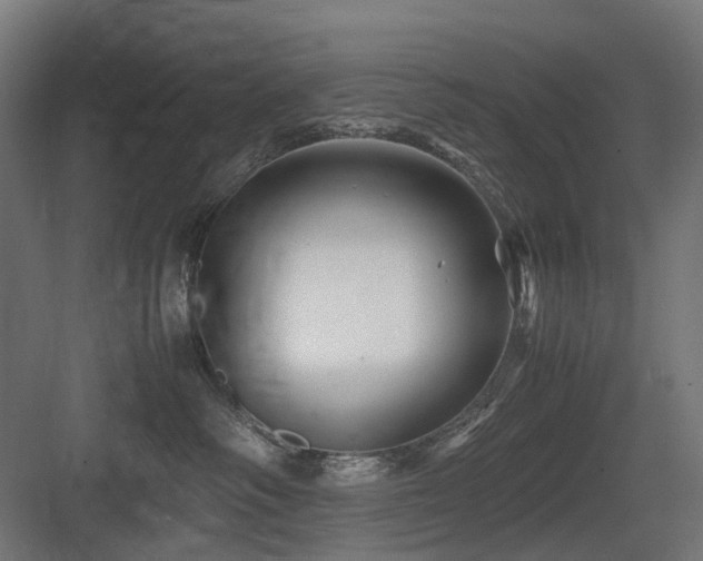 X0000083640334200702121130