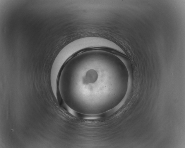 X0000083640336200702121130