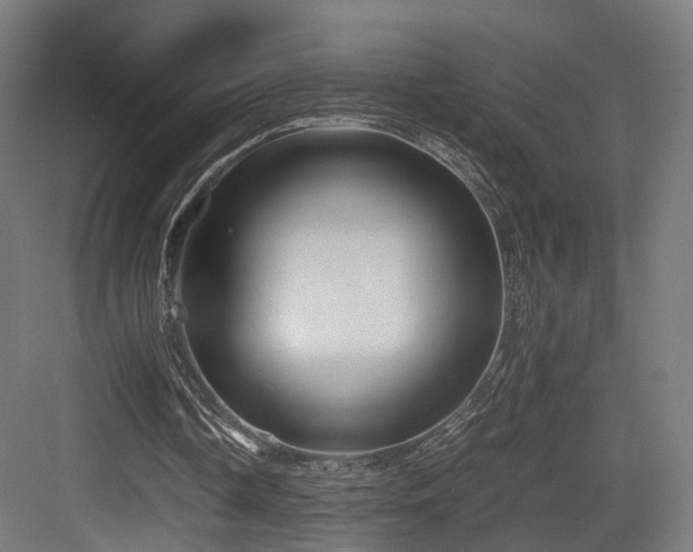 X0000083640338200702121129