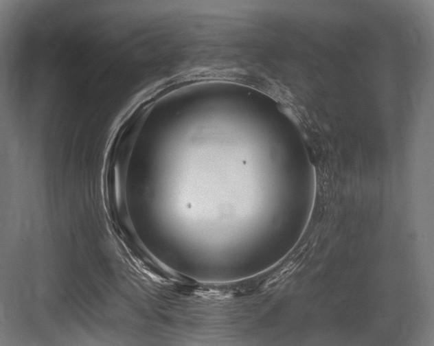 X0000083640340200702121129