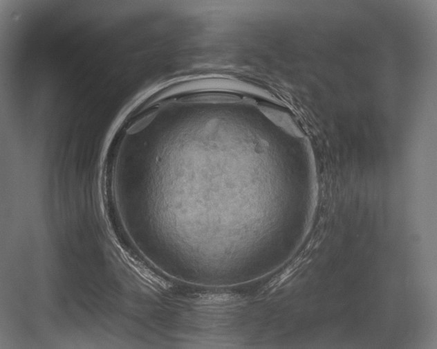 X0000083640342200702121130