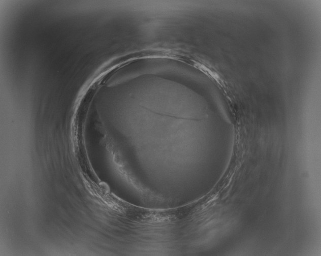 X0000083640343200702121130