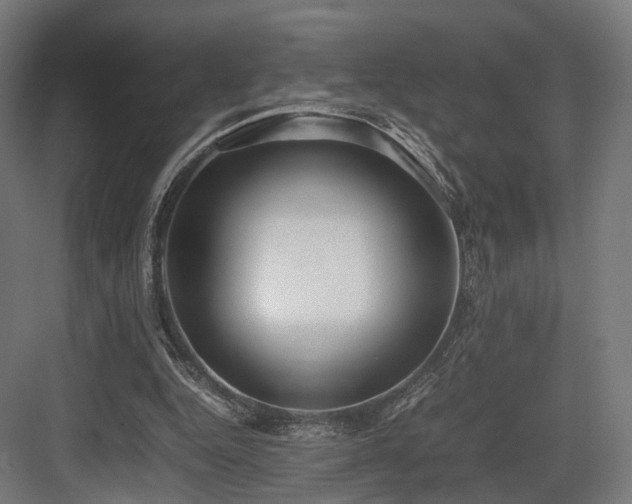 X0000083640344200702121130
