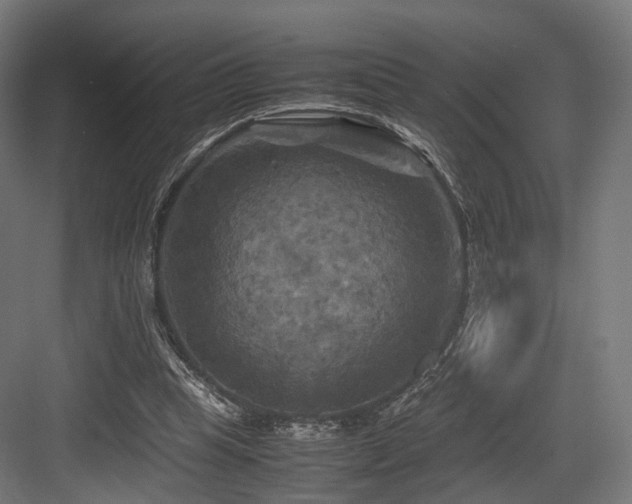 X0000083640345200702121130