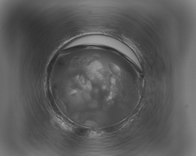 X0000083640346200702121130