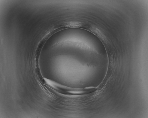 X0000083640351200702121130