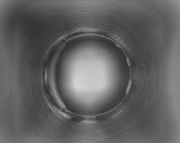 X0000083640352200702121130