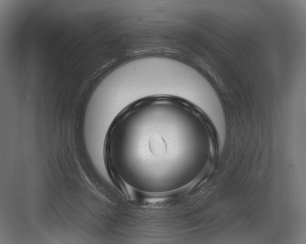 X0000083640356200702121130