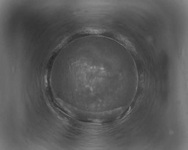 X0000083640358200702121130