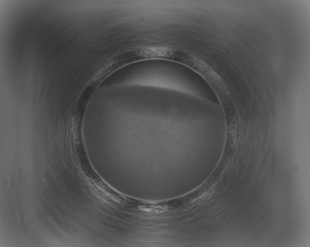 X0000083640359200702121130