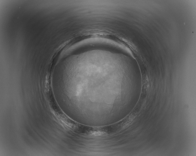 X0000083640360200702121130