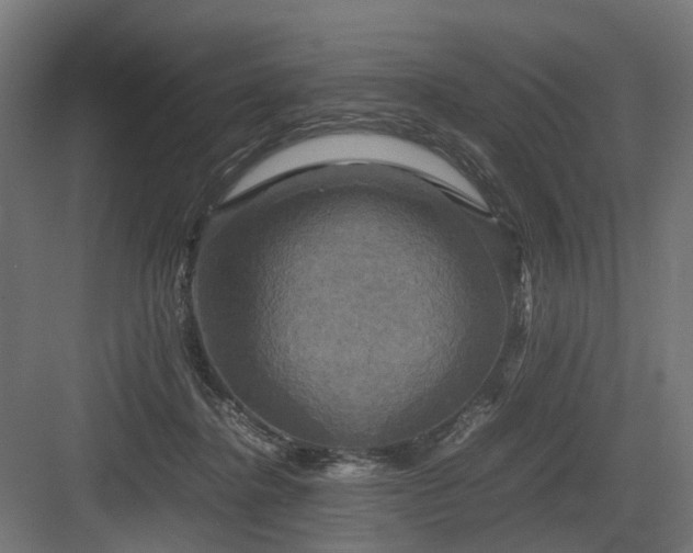 X0000083640364200702121130